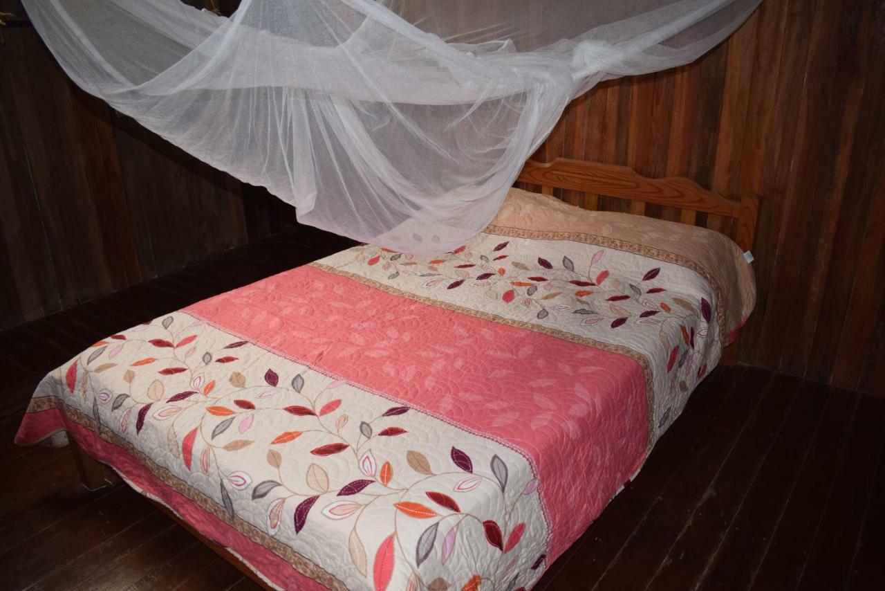 Casa Tingomaria Homestay *