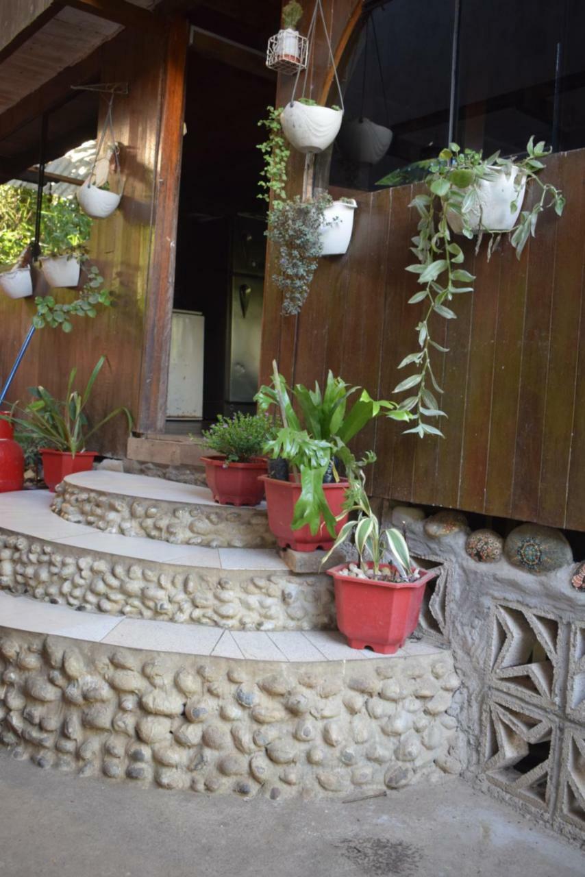 Casa Tingomaria Homestay *