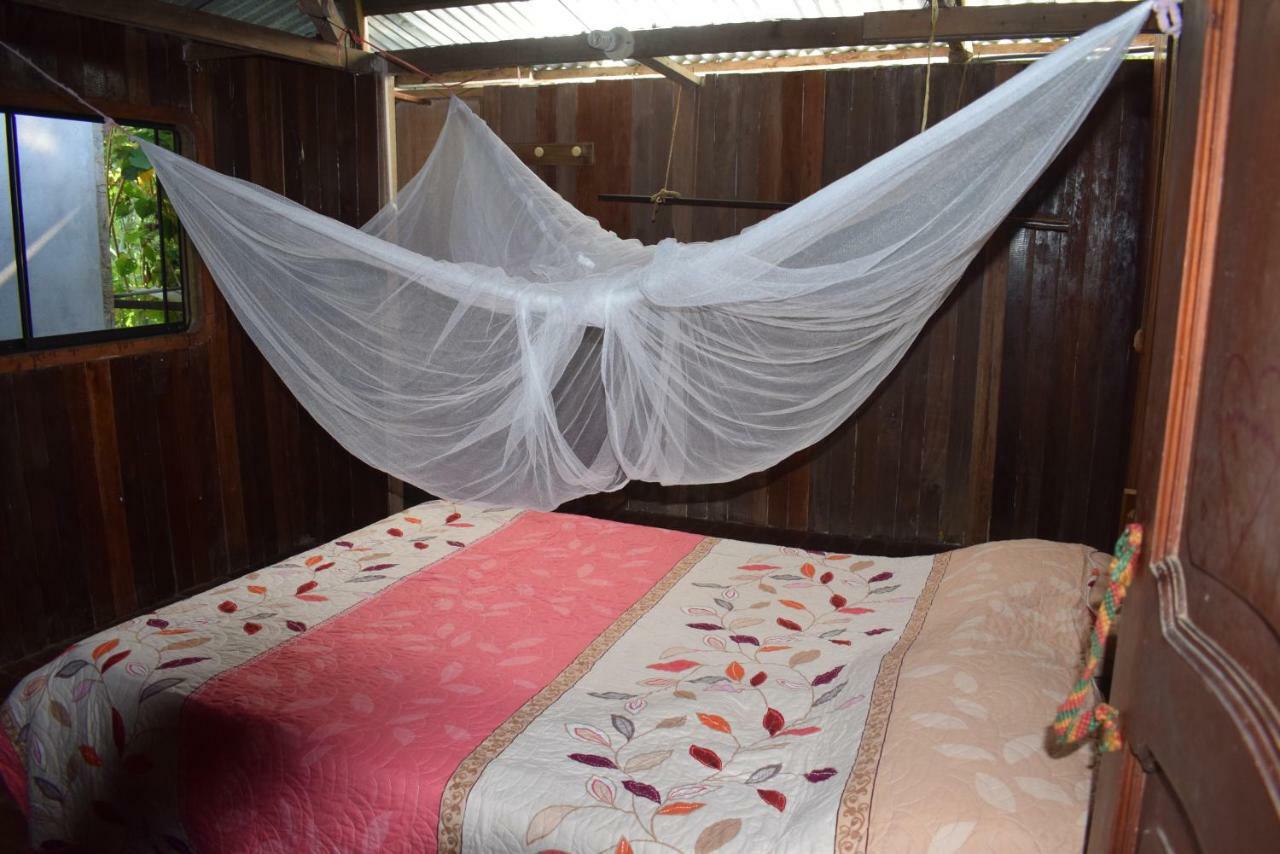 Homestay Casa Tingomaria