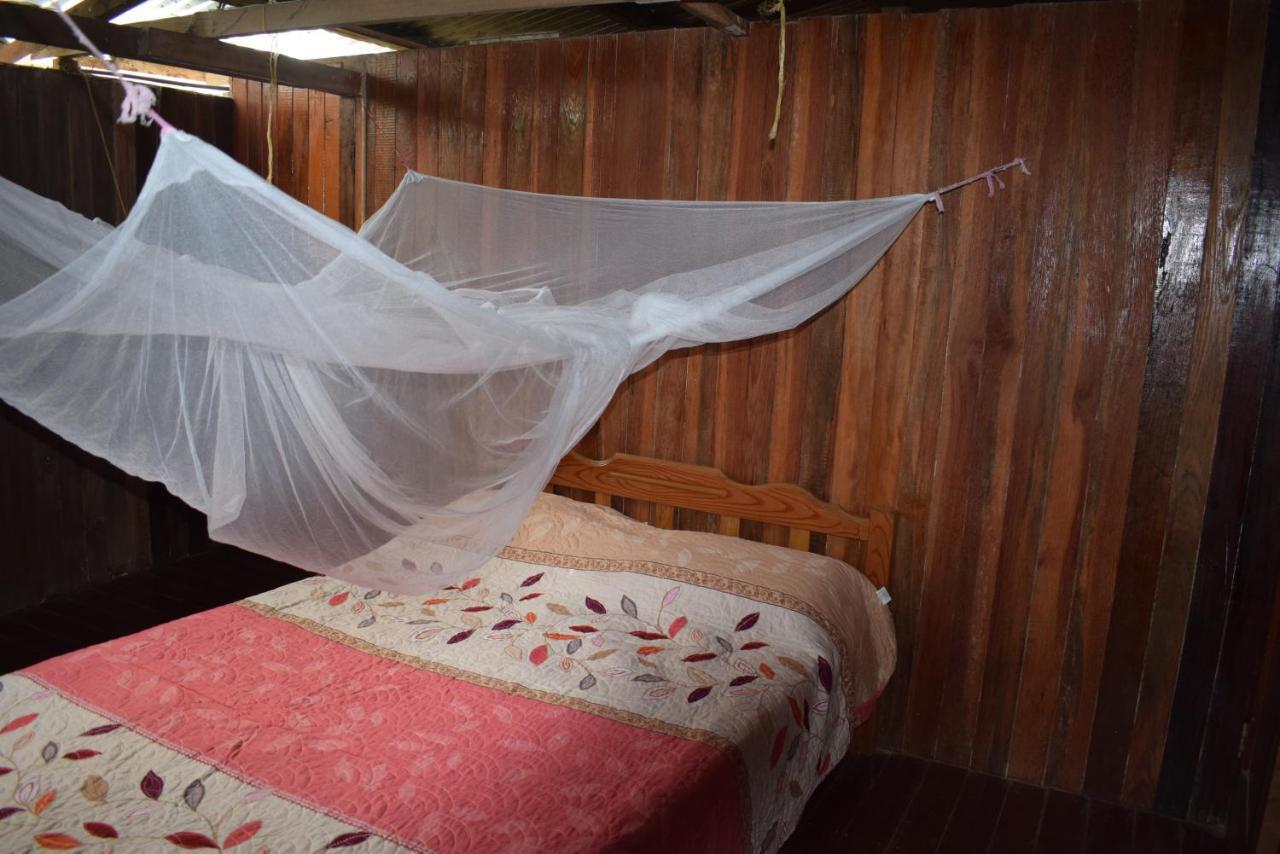 Casa Tingomaria Homestay